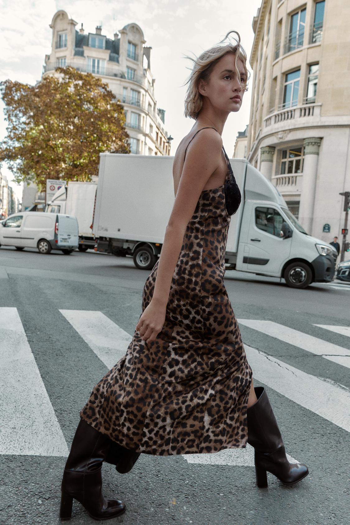 Liora | Midi Dress with Animal Print & Lace