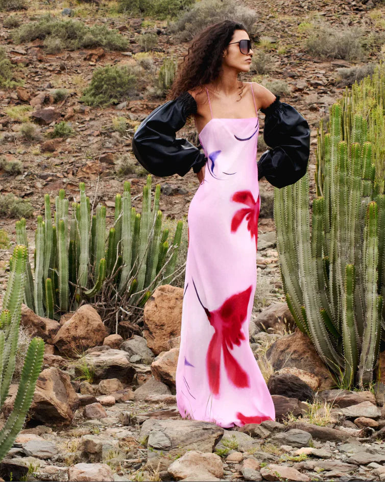 Alicii